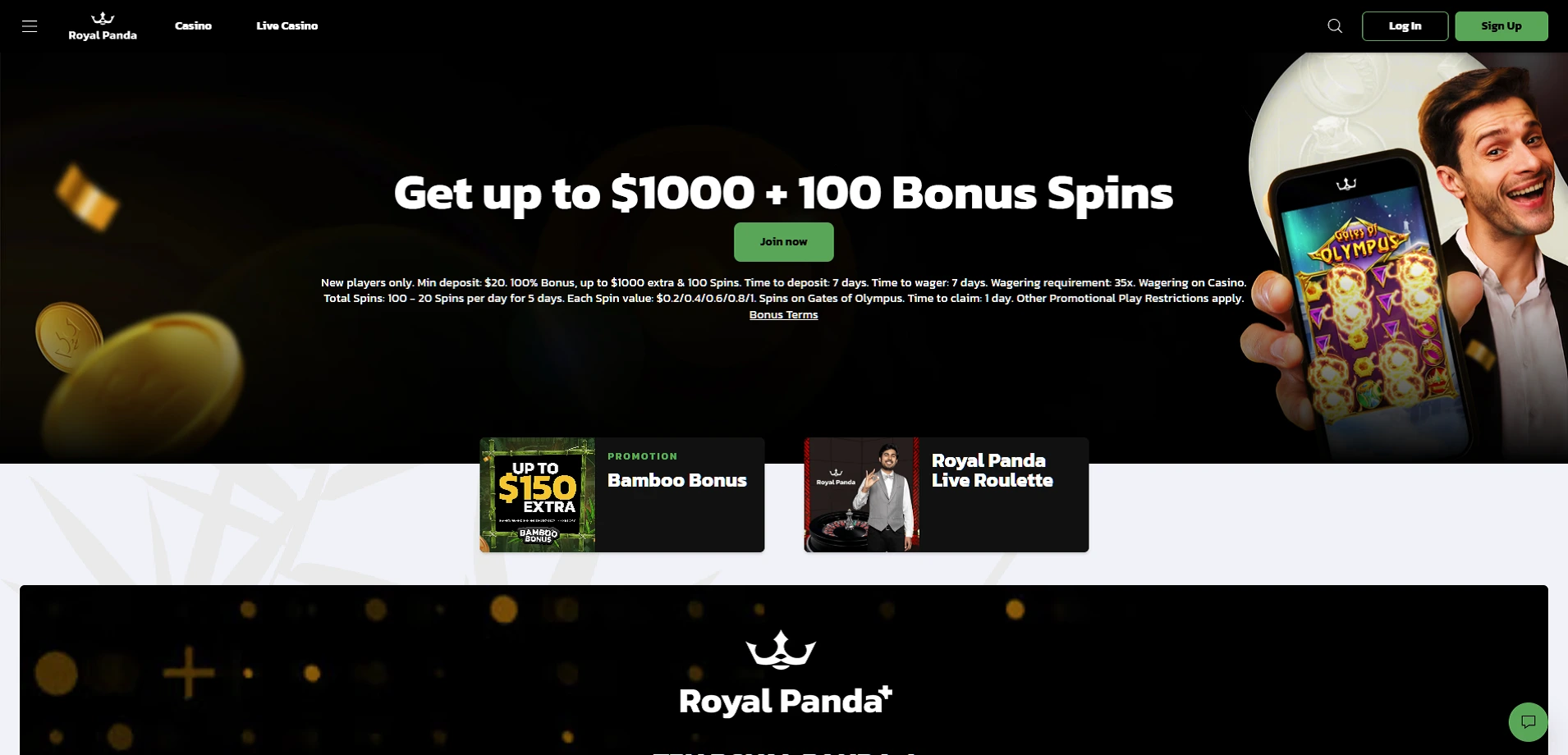 Royal Panda Casino Canada gaming environment